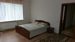 Sviatoshyn aparthotel